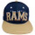 Casquette de baseball avec Snapback avec logo SD1520